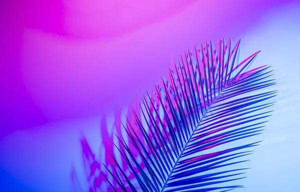 Holografik yapraklar. Sanat kavramı. Asgari sürrealizm arka planı