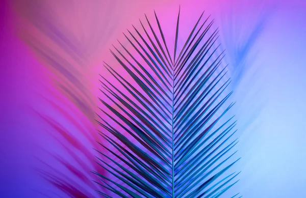 Parlak tropikal cennet bırakır, neon ışık palmiye yaprakları