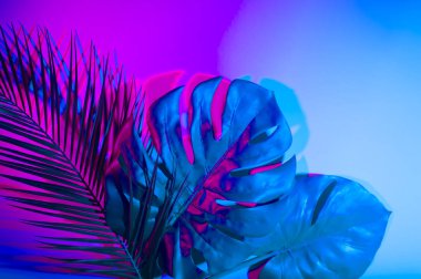 Holografik yapraklar. Sanat kavramı. Asgari sürrealizm arka planı