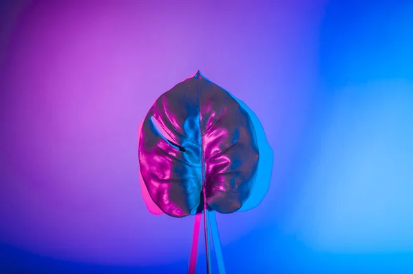 Holographic leaves. Concept art. Minimal surrealism background