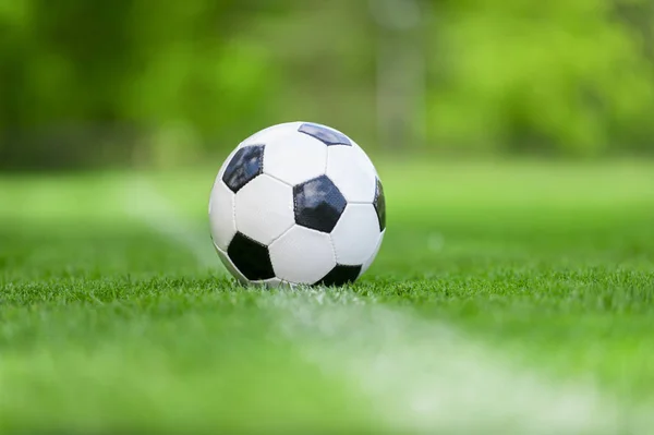 Black and white soccer ball in the field