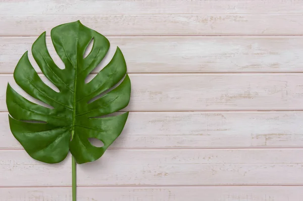 Concepto Ideas Verano Con Borde Marco Hoja Tropical Sobre Fondo — Foto de Stock