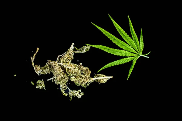 Cannabis Herbal Tea Marijuana Leaves — Stock Photo, Image