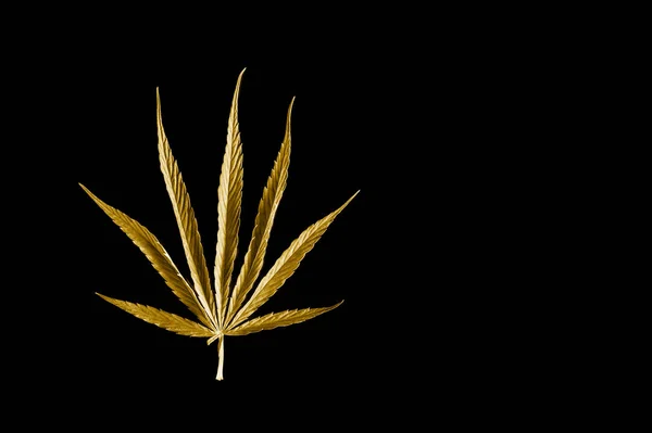Gold Cannabis Leaf Black Background Golden Cannabis Leaf Isolated Black — Stock Photo, Image
