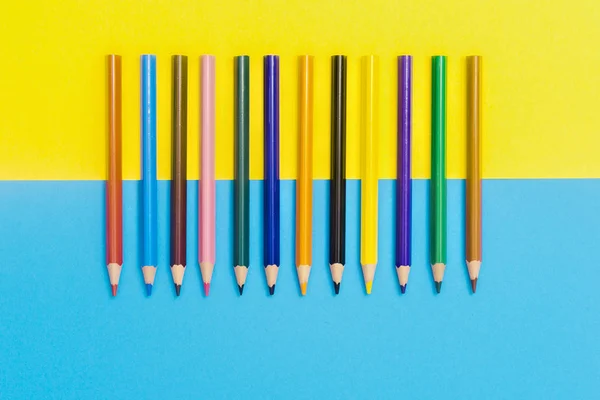 Back Scool Pencils Detail Colored Sharp Pencils Detail Row Isolated — Stock Photo, Image