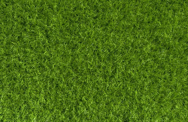 Текстура Фону Зеленої Трави Вид Зверху — стокове фото