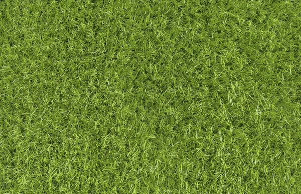 Green Grass Background Texture Top View — Stock Photo, Image