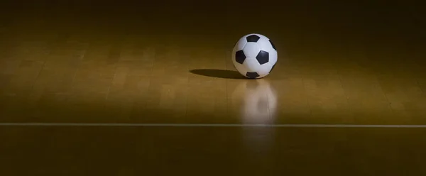 Indoor Soccer Futsal Ball. Team sport.