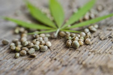 Green cannabis leaf and seeds on wooden background. Vegetarian food concept clipart