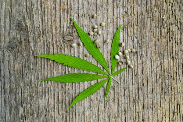 Grünes Cannabisblatt Und Samen Auf Holzgrund Vegetarisches Ernährungskonzept — Stockfoto