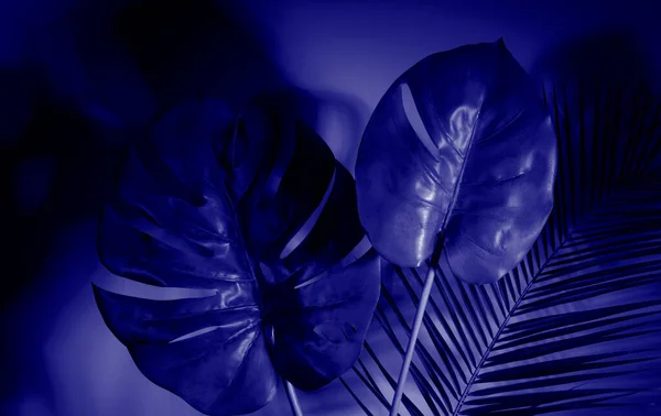 ホログラフィックな葉 コンセプトアート 最小限のシュルレアリスム背景 — ストック写真