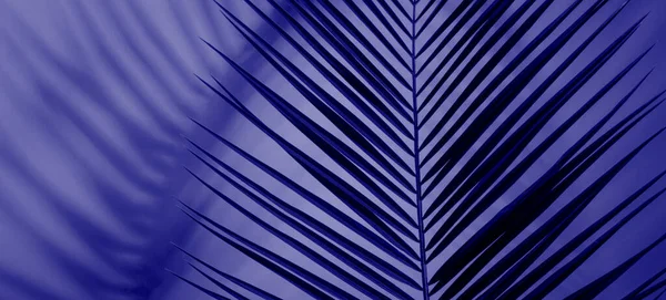 Trópusi Levelek Élénk Merész Gradiens Holografikus Neon Színekben — Stock Fotó