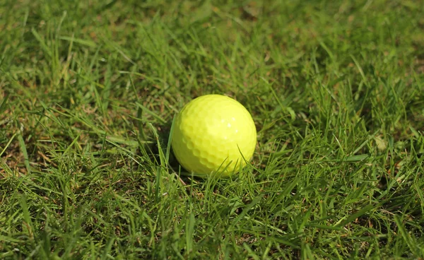 Gele Golfbal Groen Gras — Stockfoto