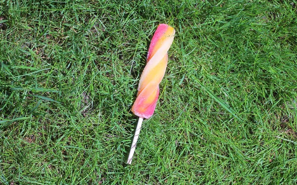 Summer ice lolly pop on green grass