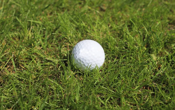 Balle Golf Blanche Sur Herbe Verte — Photo