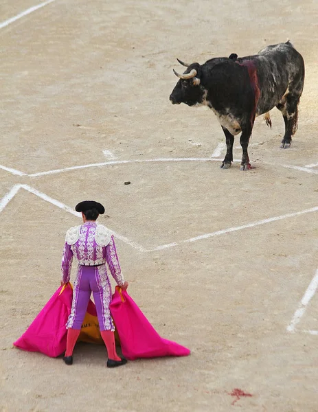Matador boğa güreşçisi ve bir boğa arenada Arles, Fransa 'da boğa güreşinde.