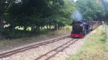 Eski buhar treni tren istasyonundan yaklaşıyor.