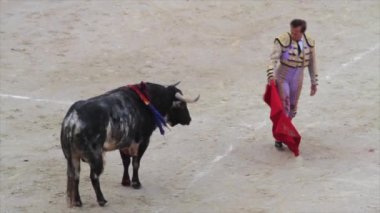 Matador ve boğa boğa güreşi sırasında