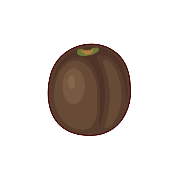 キウイフルーツのベクトル図 — ストックベクタ