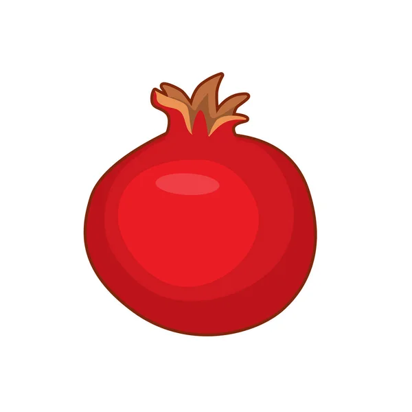 Vektorová ilustrace plodů granátové jablko — Stockový vektor