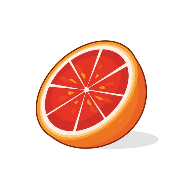 Vector illustration of grapefruit half — Stock Vector