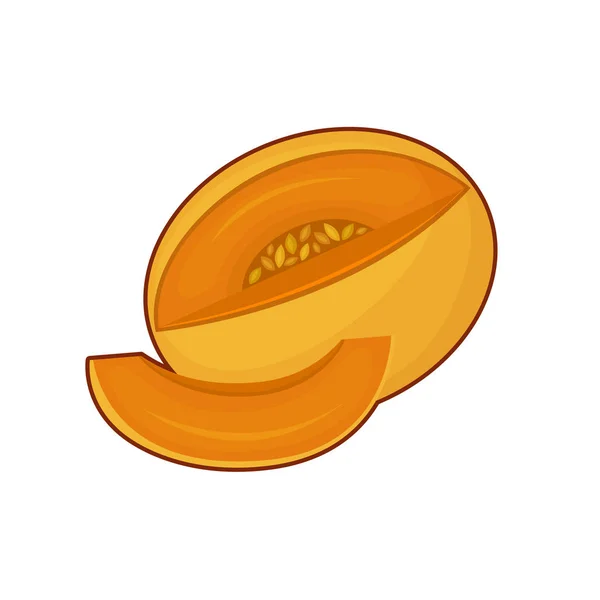 Illustrazione vettoriale del frutto del melone — Vettoriale Stock