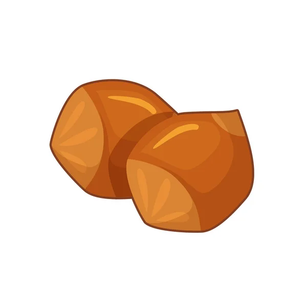 Pair of brown nuts — Stock Vector