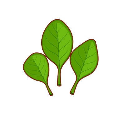 Karikatür ıspanak Vektör illüstrasyon 