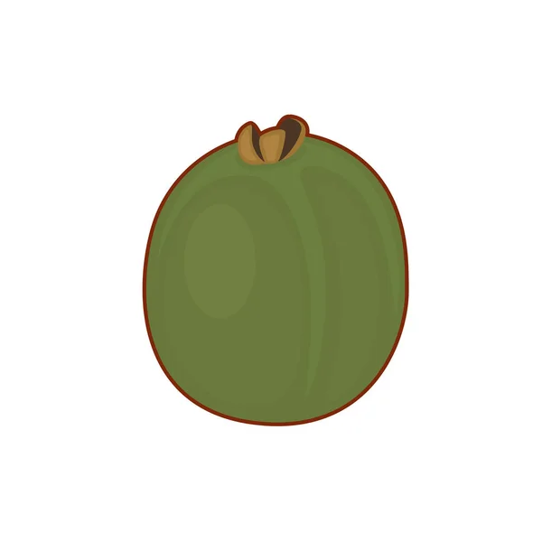 Ilustração vetorial de kiwi fruit —  Vetores de Stock