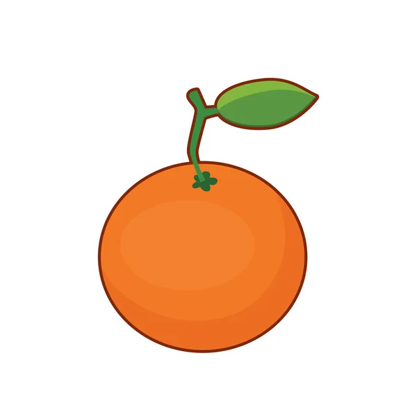 Illustration vectorielle des fruits orange — Image vectorielle