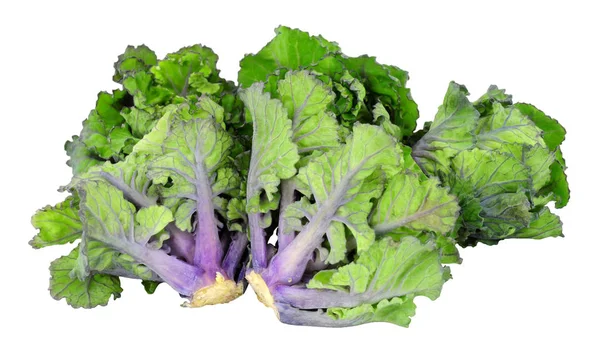 Groep Kalettes Een Hybride Van Boerenkool Spruitjes Geïsoleerd Een Witte — Stockfoto