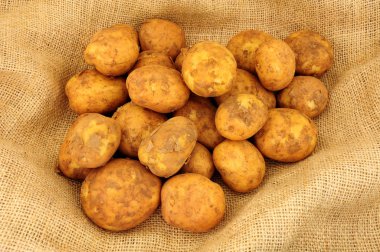 Arka plan görevden Hessian kumaş üzerinde taze yeni patates