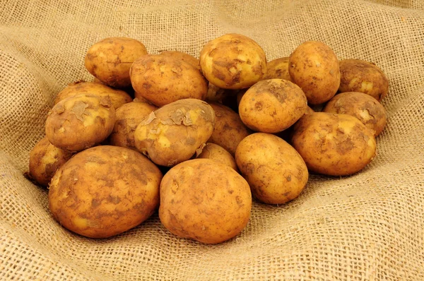 Batatas Novas Frescas Fundo Saque Tecido Hessian — Fotografia de Stock