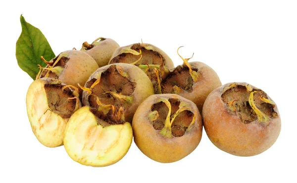 Nyplockade Medlar Frukt Detta Skede Frukten Hårda Och Sura Men — Stockfoto