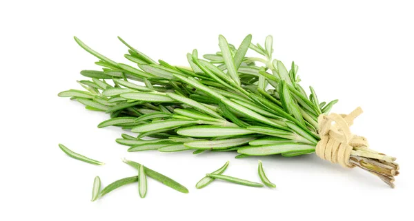 Fresh Bunch Fragrant Rosemary Herb Stems — Stock Photo, Image