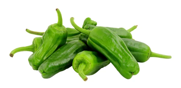 Groep Verse Rauwe Groene Mediterrane Padron Paprika Geïsoleerd Een Witte — Stockfoto