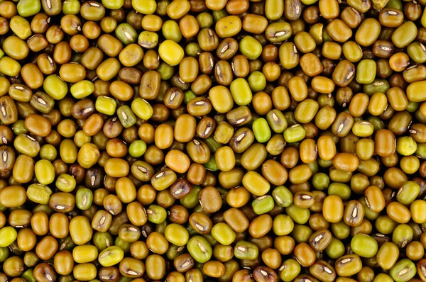 Raw Uncooked Mung Bean Background Also Known Green Gram Maash — Stock Photo, Image