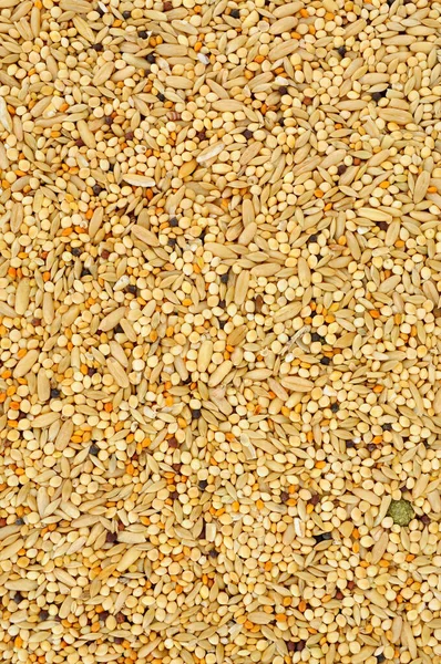 穀物やシリアルペットフードと混合鳥の種子のテクスチャの背景 — ストック写真