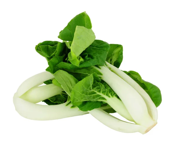 Couve Chinesa Pak Choi Recém Aparada Isolada Fundo Branco — Fotografia de Stock