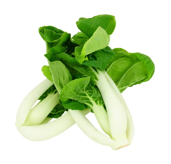 Versgesneden Pak Choi Chinese Kool Geïsoleerd Een Witte Achtergrond — Stockfoto