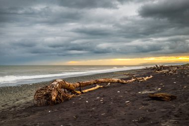 Hokitika sabah sahilde, ahşap birçok adet Plajı west coast Yeni Zelanda'nın Güney Adası '.