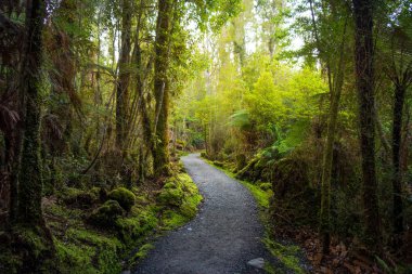 Göl Matheson izlemek. Fox Glacier içinde West Coast South Island, Yeni Zelanda yakınındaki bulun. Aoraki/Mount Cook ve Mount Tasman onun yansıyan görünümleri için ünlüdür.