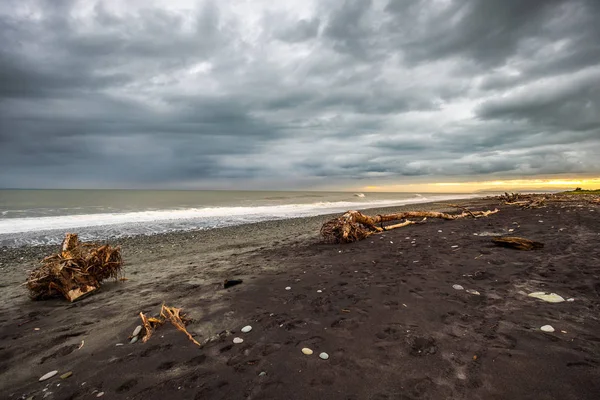 Hokitika Sabah Sahilde Ahşap Birçok Adet Plajı West Coast Yeni — Stok fotoğraf