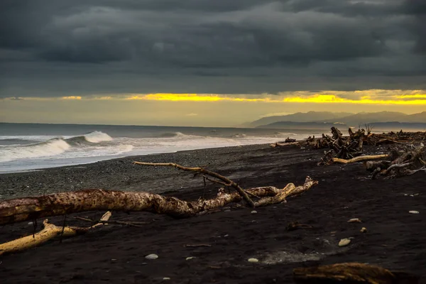 Hokitika Sabah Sahilde Ahşap Birçok Adet Plajı West Coast Yeni — Stok fotoğraf