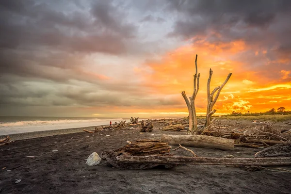 Hokitika Sabah Sahilde Ahşap Birçok Adet Plajı West Coast Yeni — Stok fotoğraf