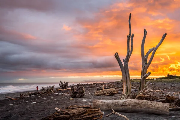 Hokitika Sabah Sahilde Ahşap Birçok Adet Plajı West Coast Yeni — Stok fotoğraf