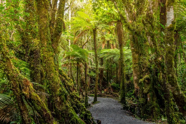 Göl Matheson izlemek. Fox Glacier içinde West Coast South Island, Yeni Zelanda yakınındaki bulun. Aoraki/Mount Cook ve Mount Tasman onun yansıyan görünümleri için ünlüdür.