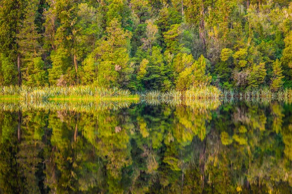 Reflexão Árvore Lago Matheson Ilha Sul Nova Zelândia — Fotografia de Stock