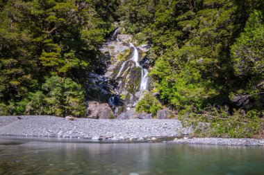 Tarihimin Falls Mt hedefleyen Milli Parkı'nda, south Island Yeni Zelanda Haast yolu boyunca yer alır.