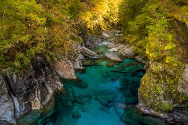 Mavi havuzları Haast geçişinde en ünlü cazibe olduğunu. Yeni Zelanda South Island'da bulunan. Mavi havuzu parça devlet karayolu 6, Haast Pass Mount Aspiring Milli Parkı'nda kısa bir yürüyüş mesafesindedir